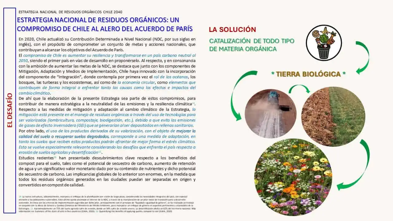 CATALIZACION 2